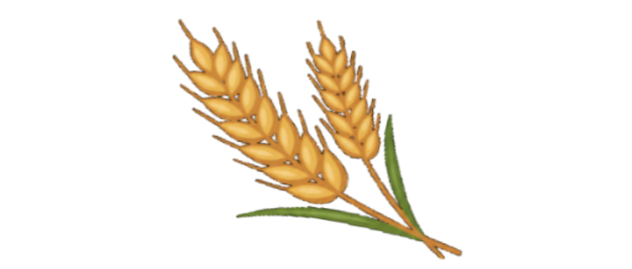 Home ٢٠٢٦٠١٠٢ ٢٢٠٣١٦